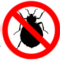 Bed Bug Exterminator Brantford